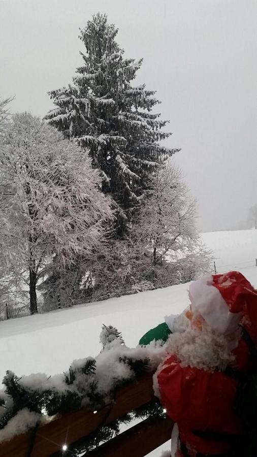 Garni Fobbie Hotel Brentonico Kültér fotó