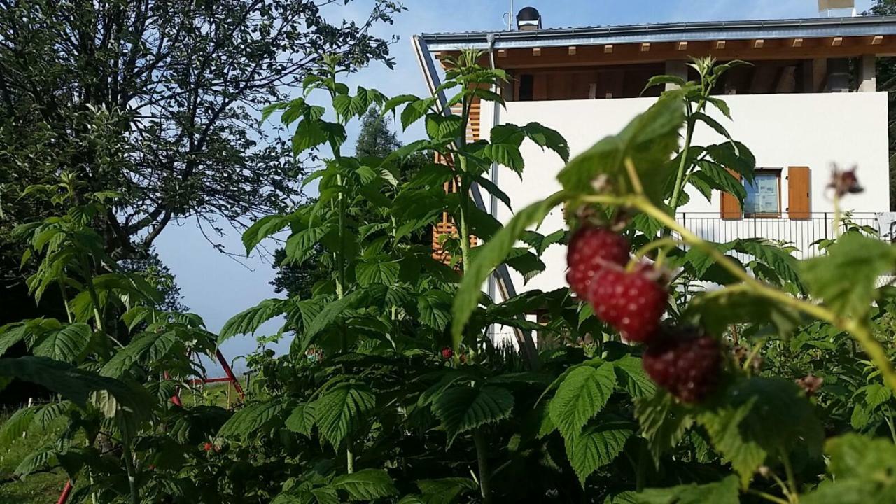 Garni Fobbie Hotel Brentonico Kültér fotó